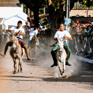 São Gonçalo dos Campos se prepara para a 36ª Corrida Tradicional de Jegue em Afligidos